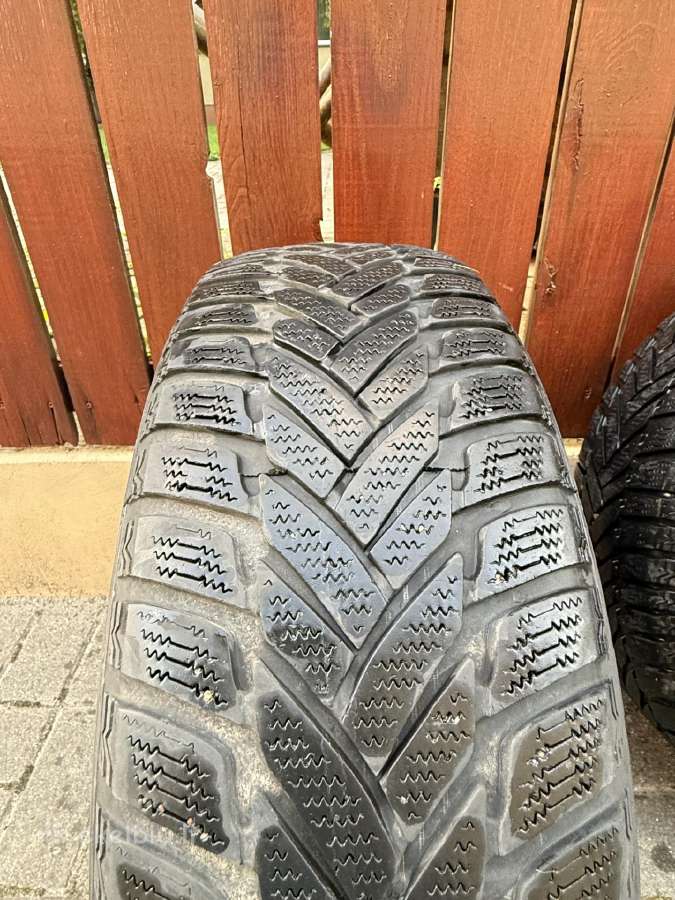 Dunlop Sp Winter Sport M3 padangos 195/65 R15 - nuotraukos Nr. 13