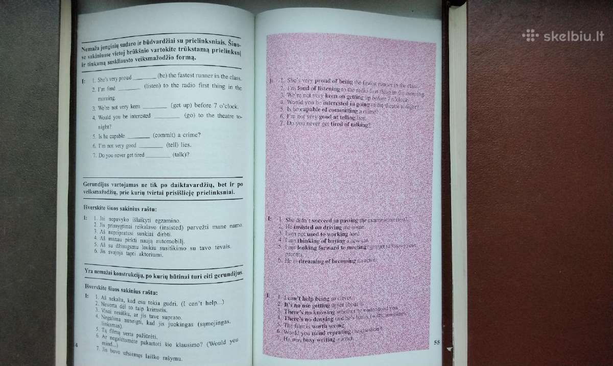 Dr. V. Docherty. Anglųk. gramatika: klausimai ir a - nuotraukos Nr. 7