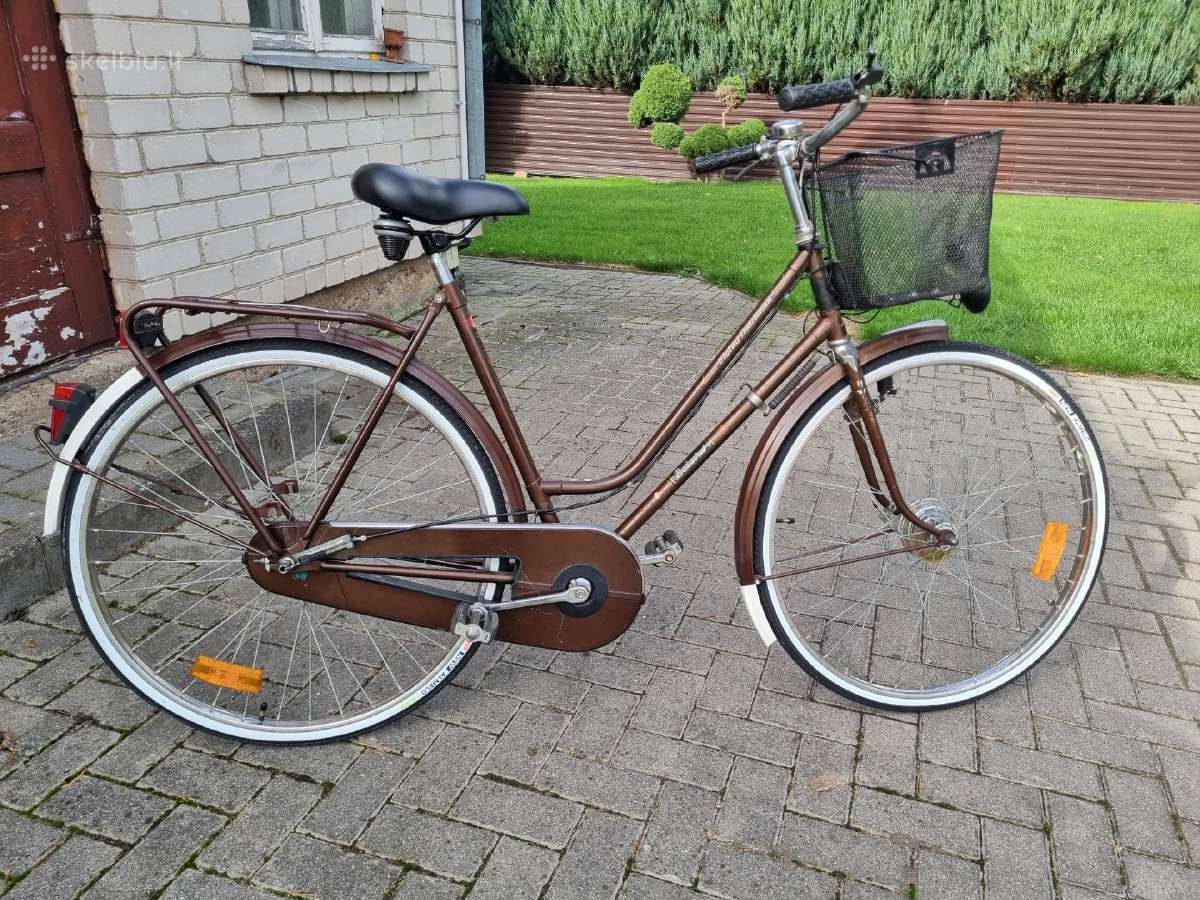 Batavus Flying Dutchman - nuotraukos Nr. 4