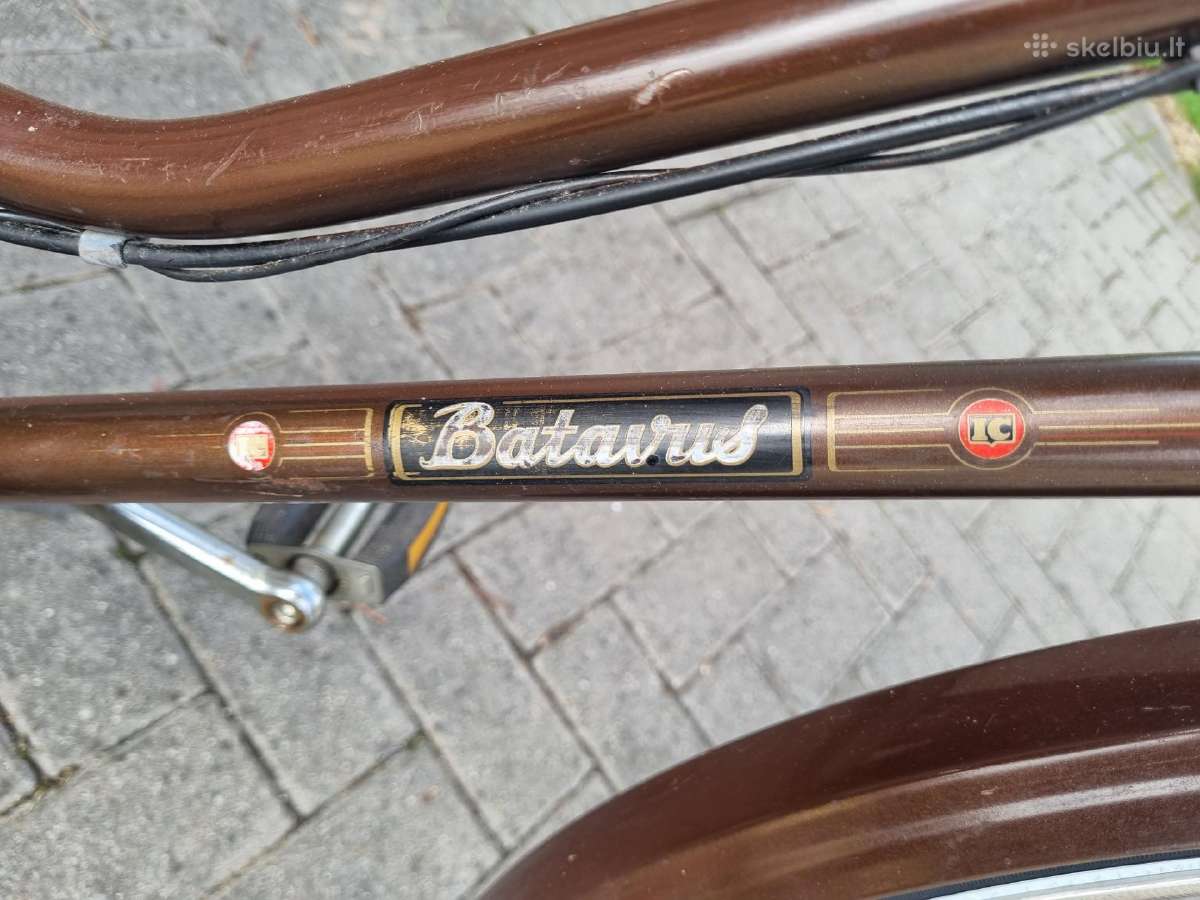 Batavus Flying Dutchman - nuotraukos Nr. 9