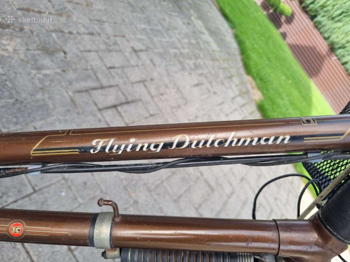 Batavus Flying Dutchman - nuotraukos Nr. 10