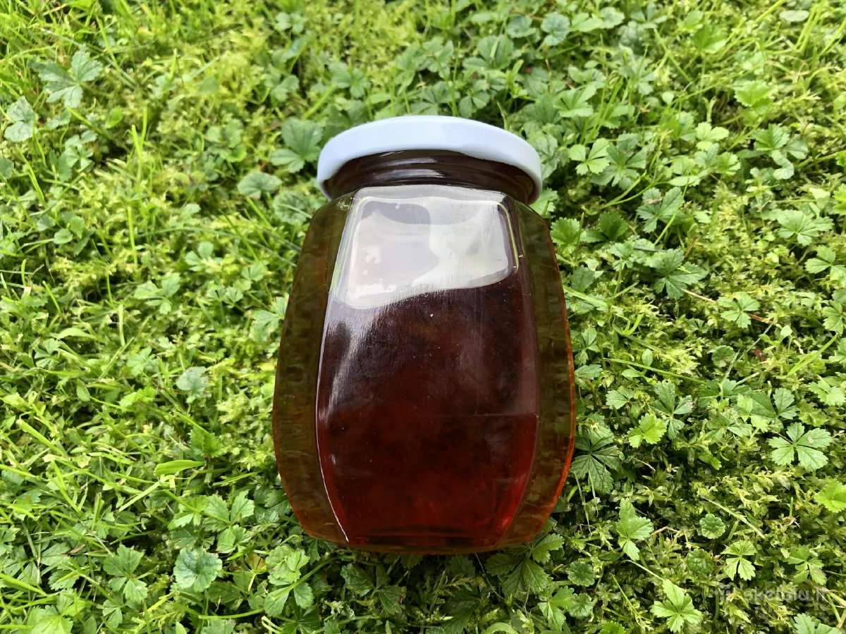 Obuoliai,slyvos,svarainiai - nuotraukos Nr. 7