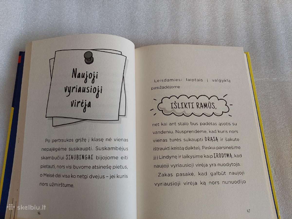 Mokyklos byla. Virėjos demonės puola - nuotraukos Nr. 3