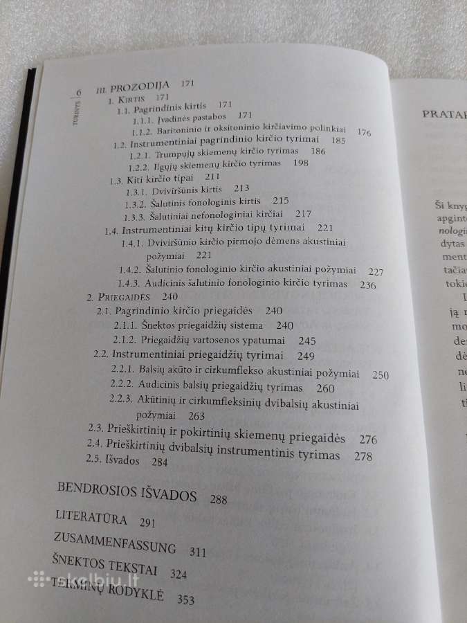 Svirkų šnektos fonologinė sistema - nuotraukos Nr. 3