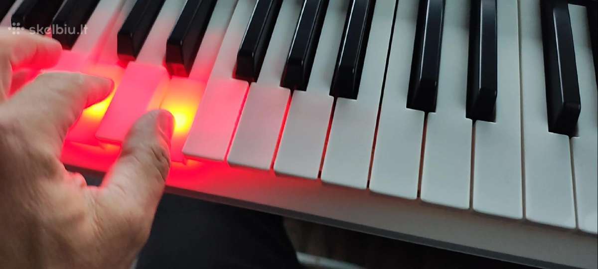 Yamaha Ez 310 . - nuotraukos Nr. 5