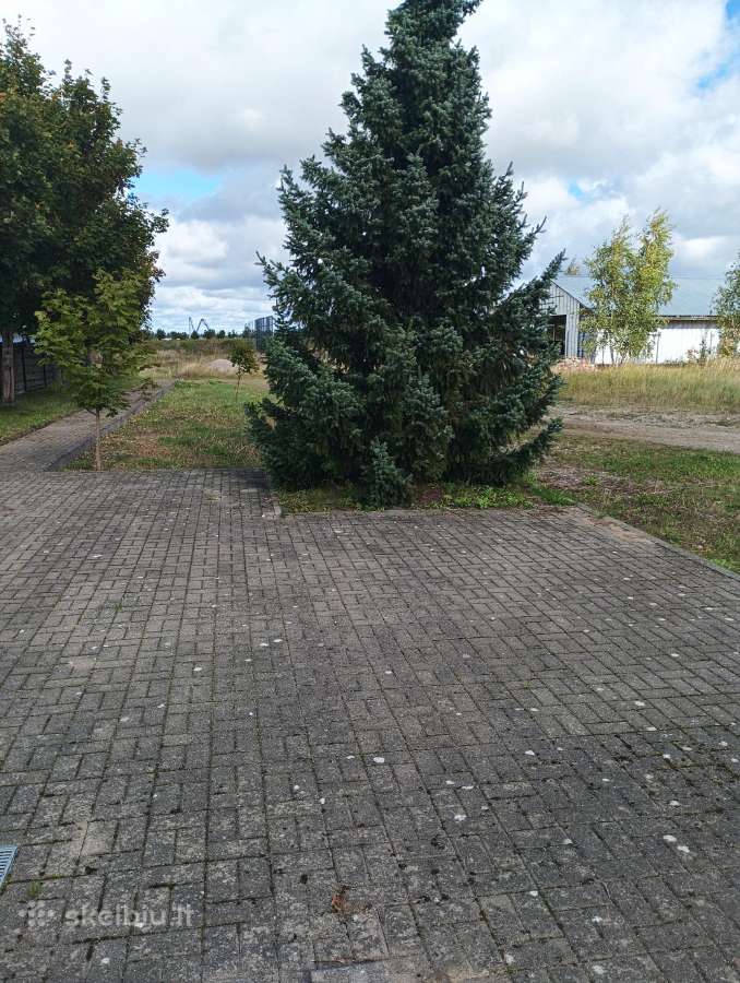Parduodamas 108 a. komercinės paskirties sklypas - nuotraukos Nr. 5