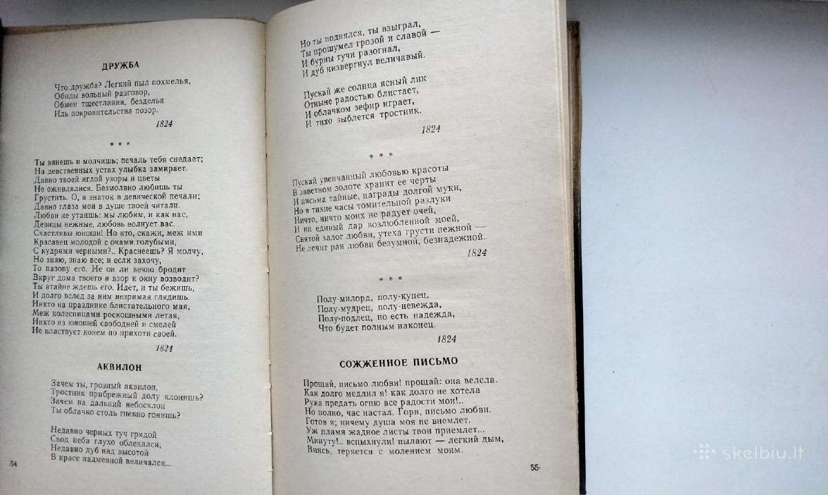 A. S. Puškin. Stichotvorenija. Evgenij Onegin - nuotraukos Nr. 6
