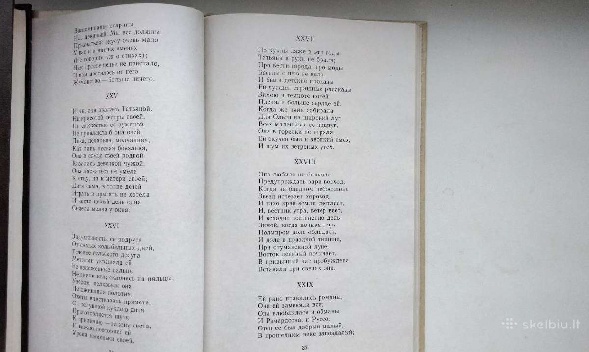 A. S. Puškin. Stichotvorenija. Evgenij Onegin - nuotraukos Nr. 10