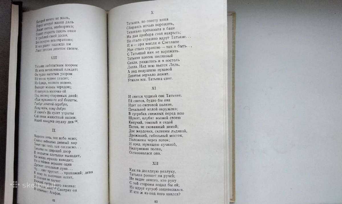 A. S. Puškin. Stichotvorenija. Evgenij Onegin - nuotraukos Nr. 11