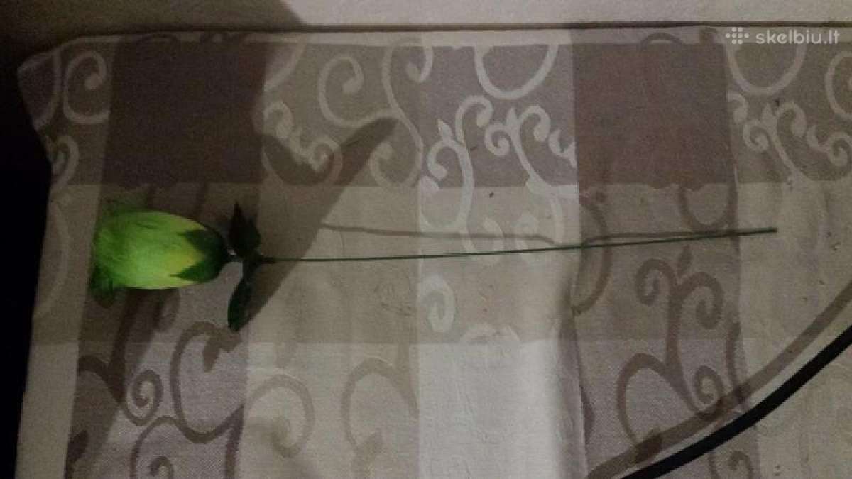 Dirbtinu roziu puokste. Nesiunciu! 27 rozes - nuotraukos Nr. 12