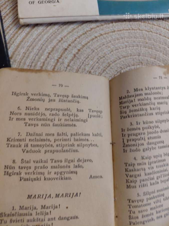 Giesmynėlis - nuotraukos Nr. 5