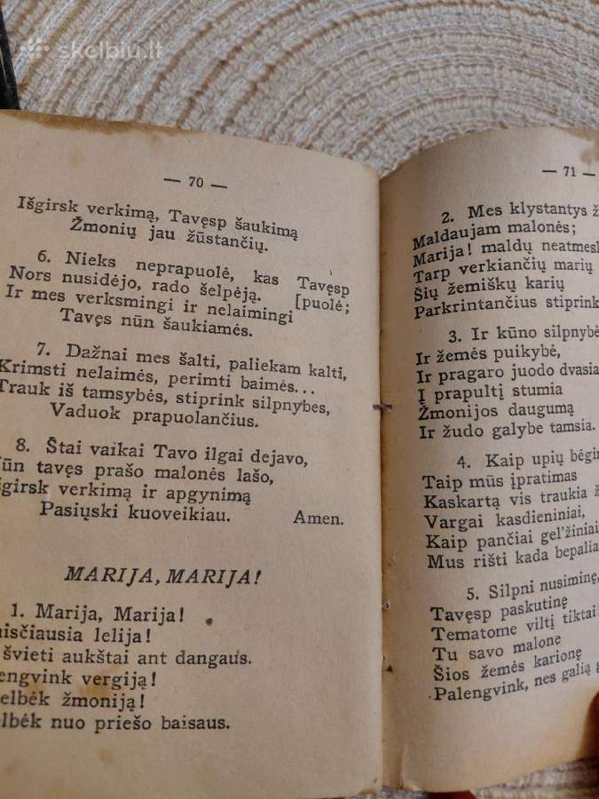 Giesmynėlis - nuotraukos Nr. 6