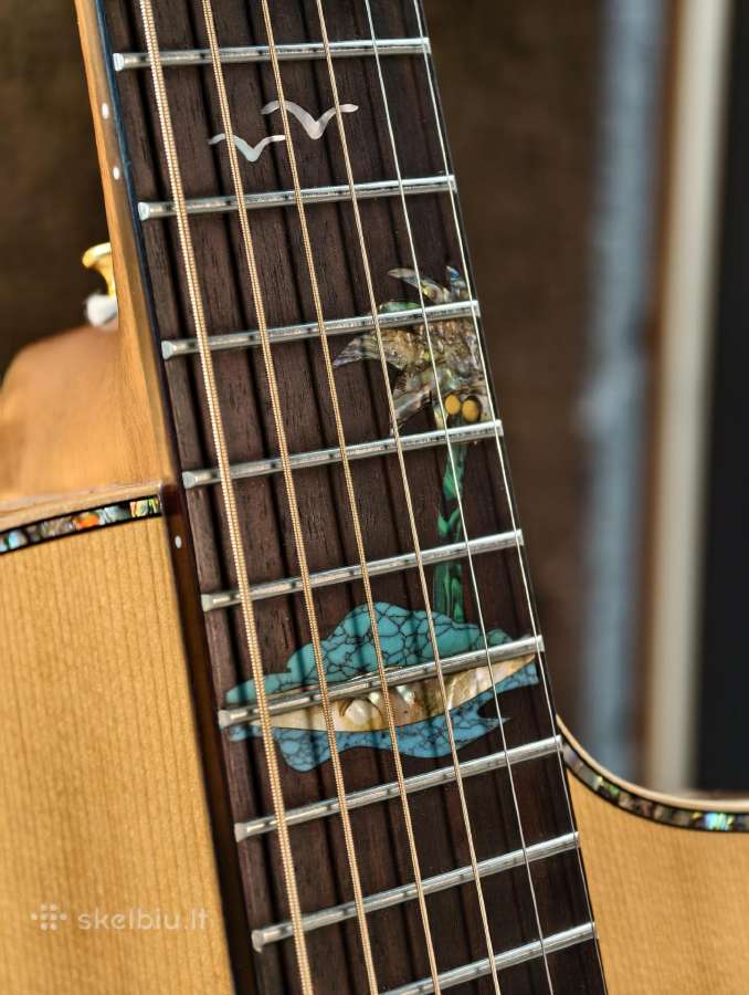 Washburn Sc56s elektroakustinė gitara - nuotraukos Nr. 6