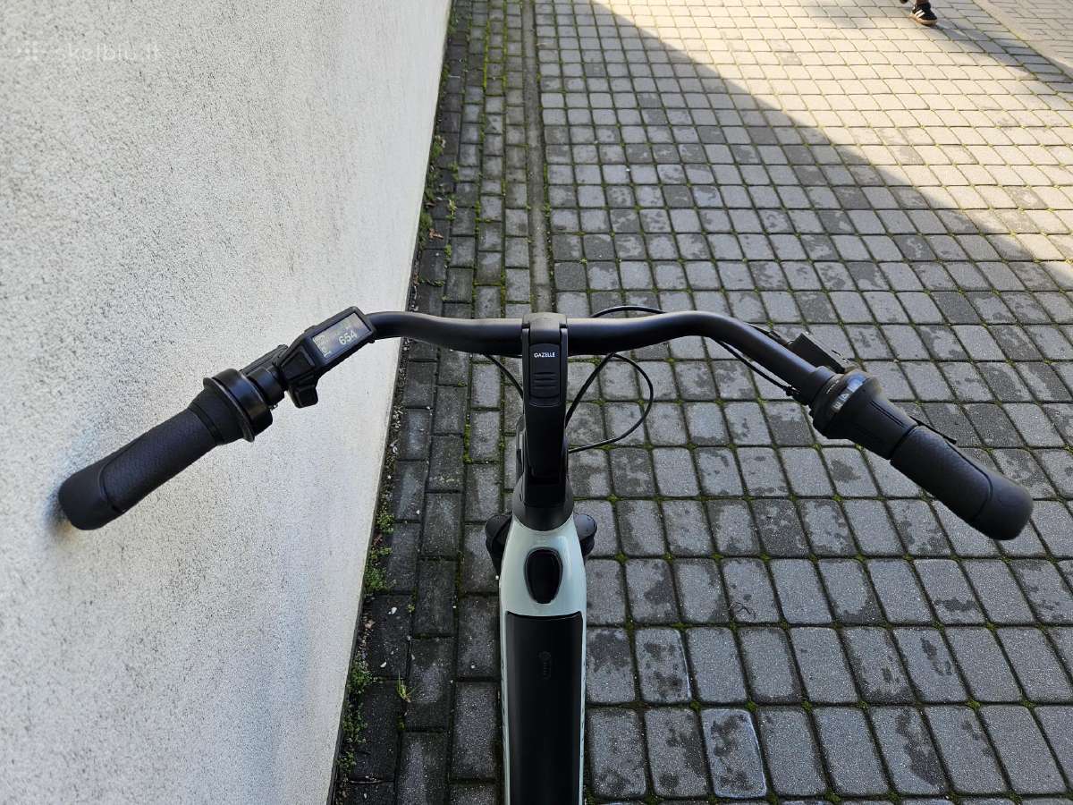 Gazelle Arroyo C8 Elite 2026m - nuotraukos Nr. 5