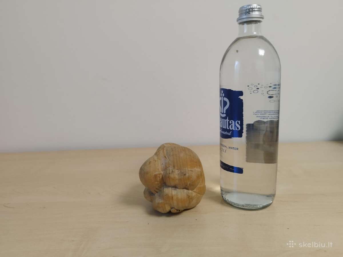 Mažesne medinė statulėlė ,Verkiantis Buda'' - nuotraukos Nr. 15