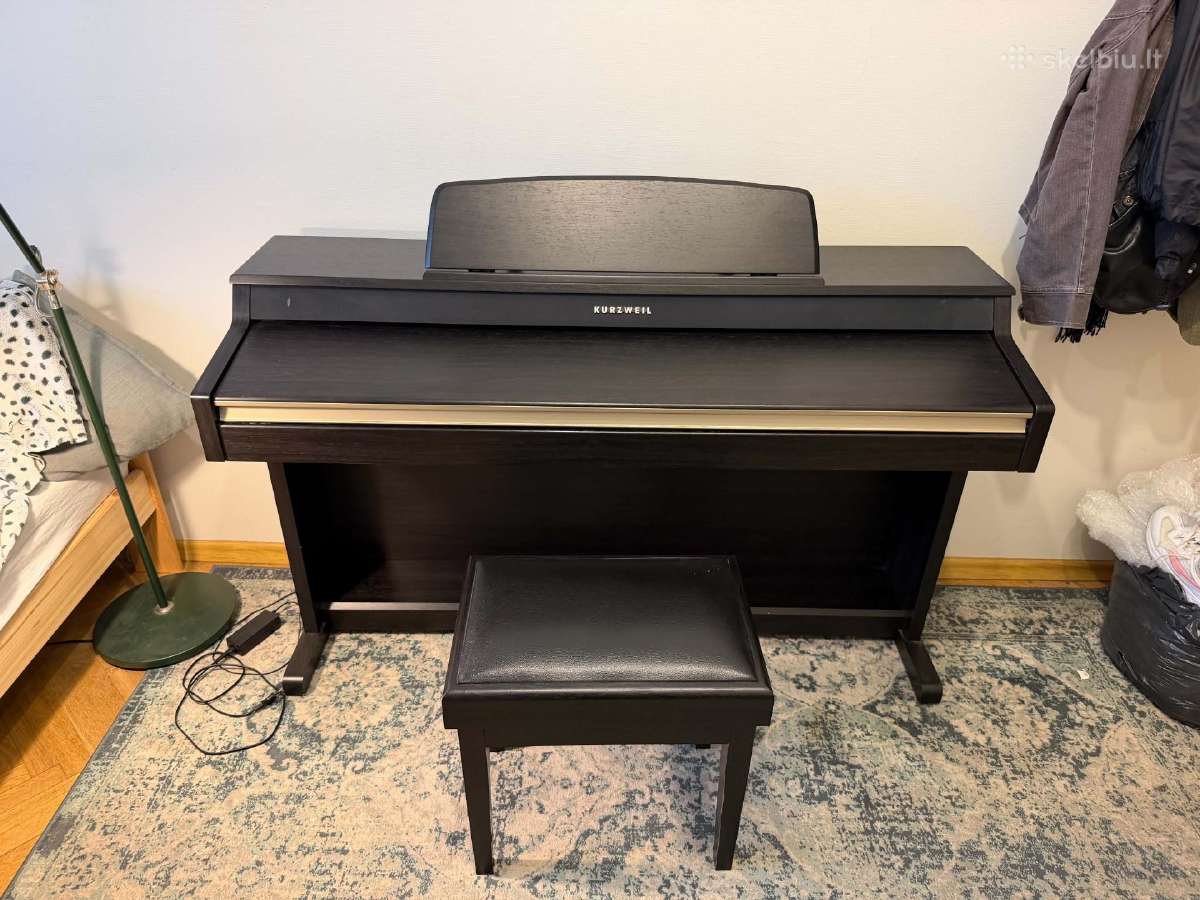 Kurzweil Mp10 su defektu - nuotraukos Nr. 2