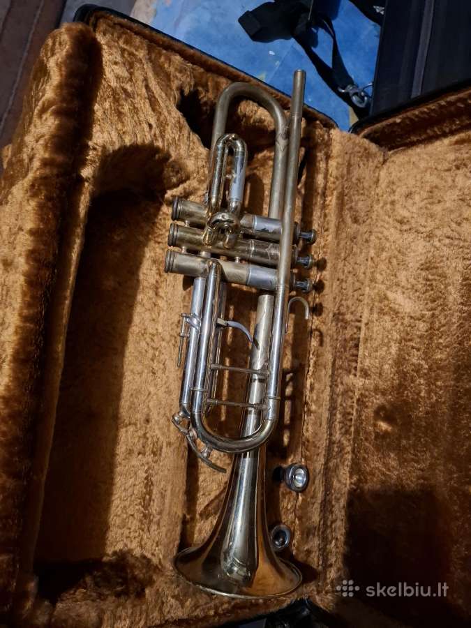 Trimitas amati - nuotraukos Nr. 2