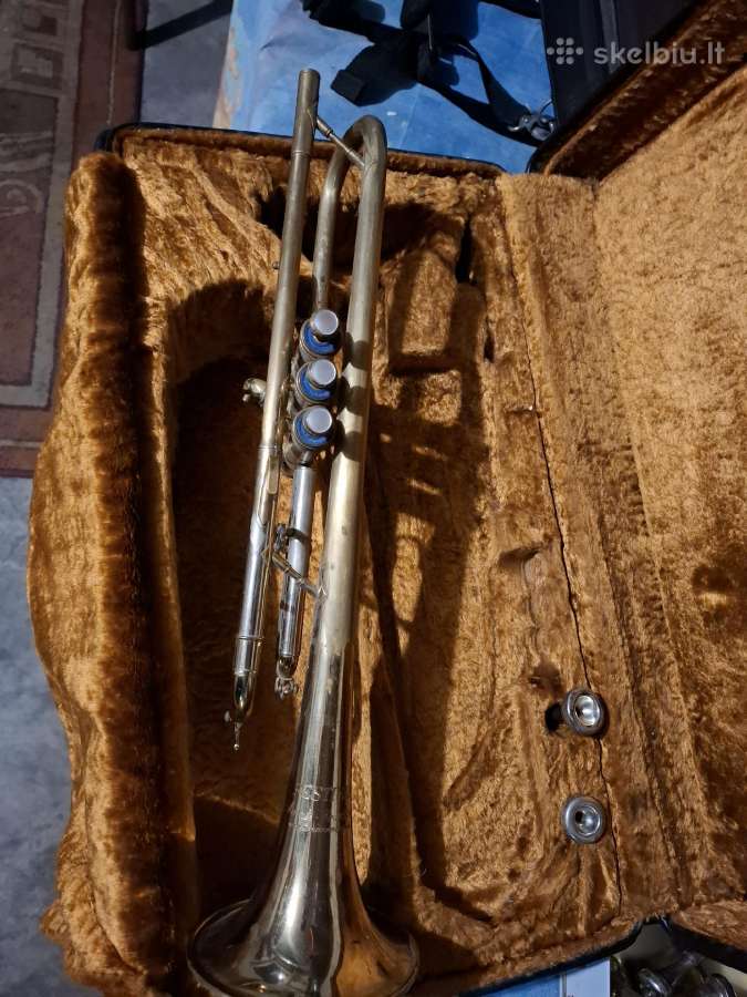 Trimitas amati - nuotraukos Nr. 3
