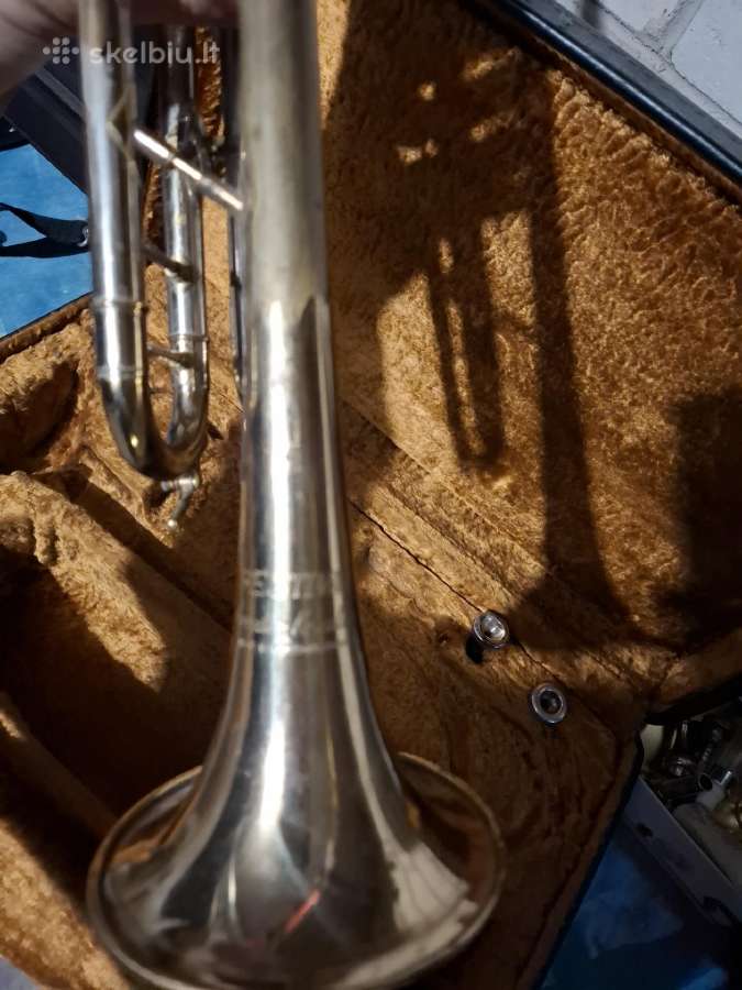 Trimitas amati - nuotraukos Nr. 4