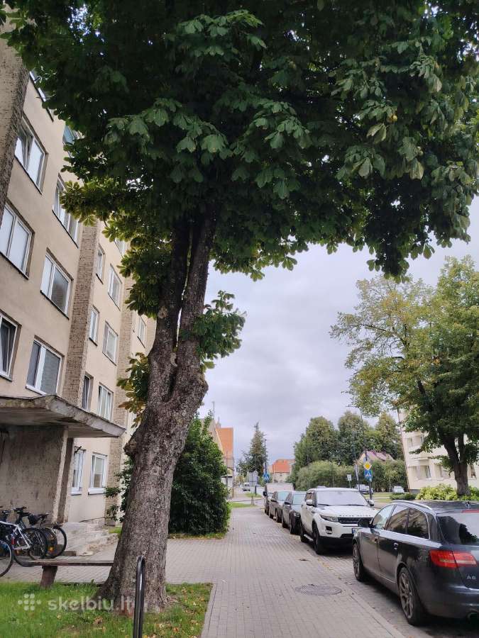 Parduodamas Dvejų Kambarių Butas - nuotraukos Nr. 18