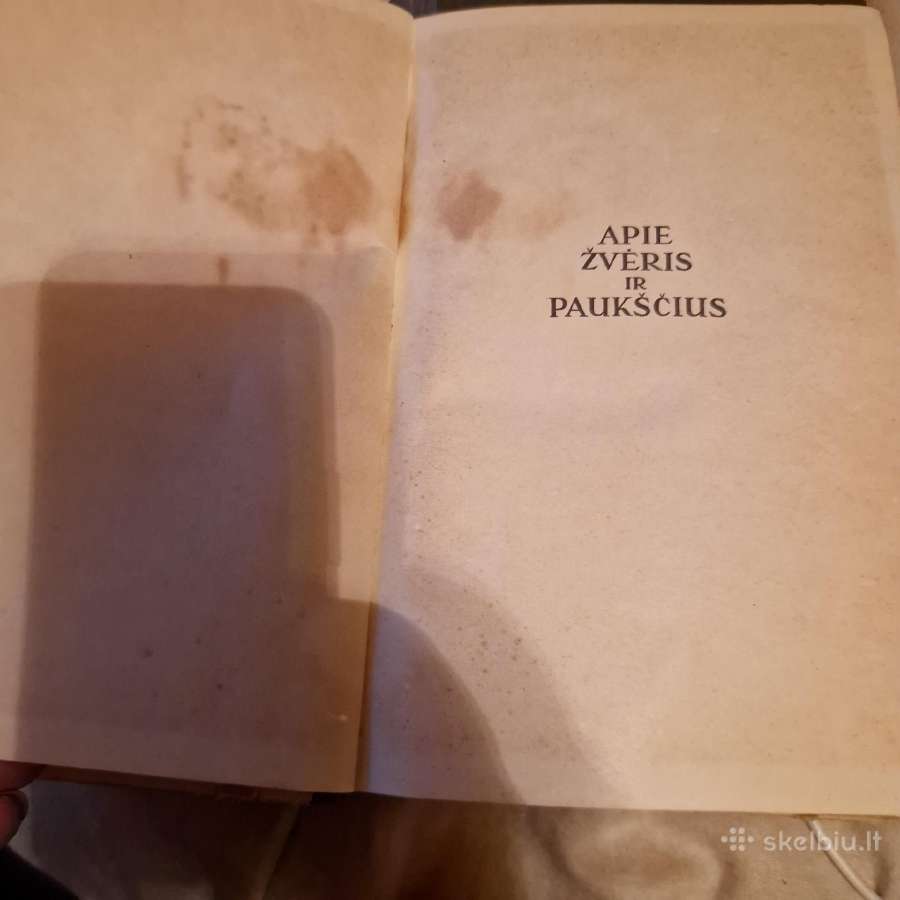 Knyga "Apie žvėris ir paukščius" - nuotraukos Nr. 2