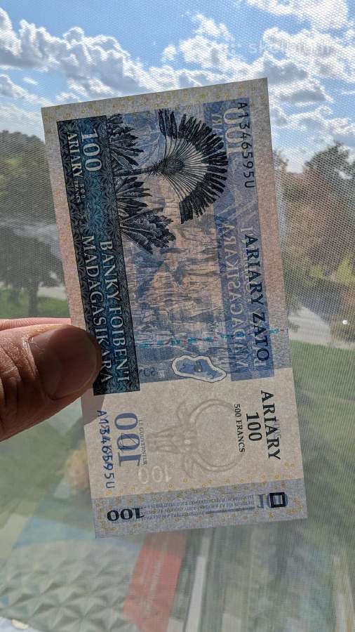 Madagaskaro 100 ariarių 2004 Unc - nuotraukos Nr. 3