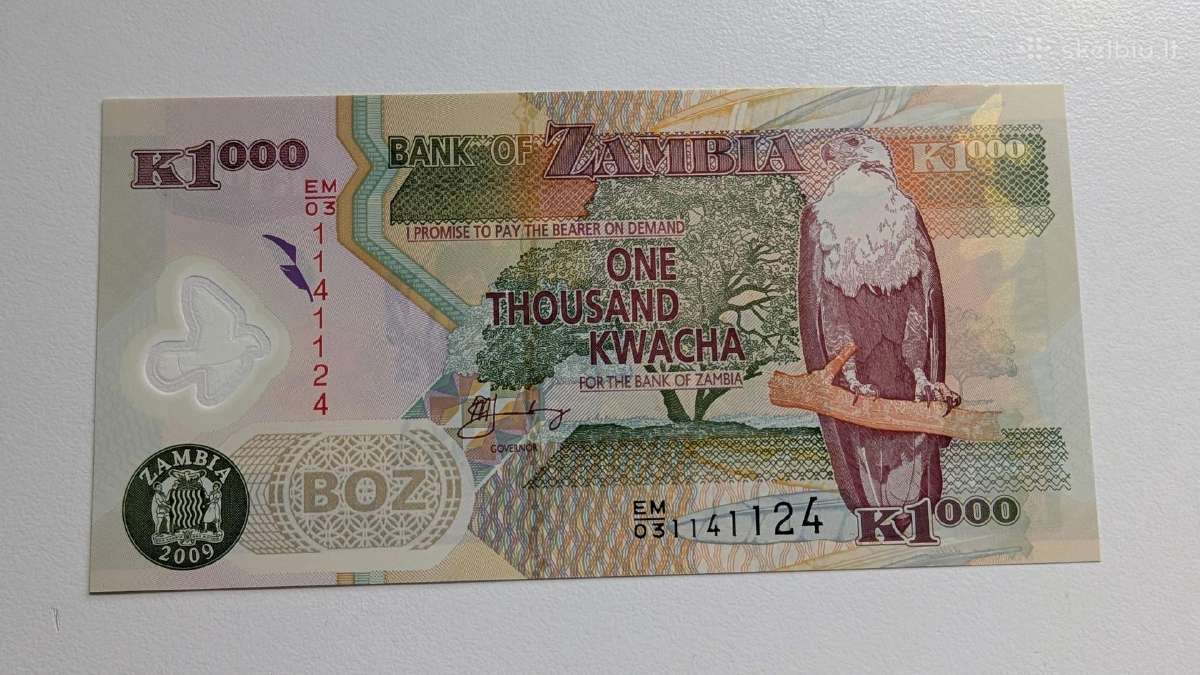 Zambijos 1000 kvačų 2009 Unc - nuotraukos Nr. 2