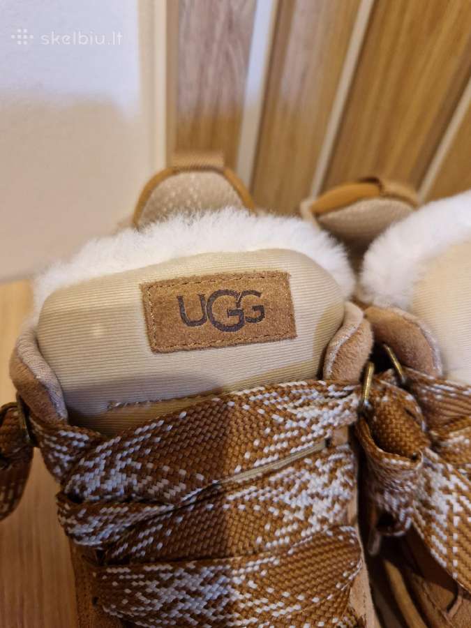Ugg lowmel - nuotraukos Nr. 2