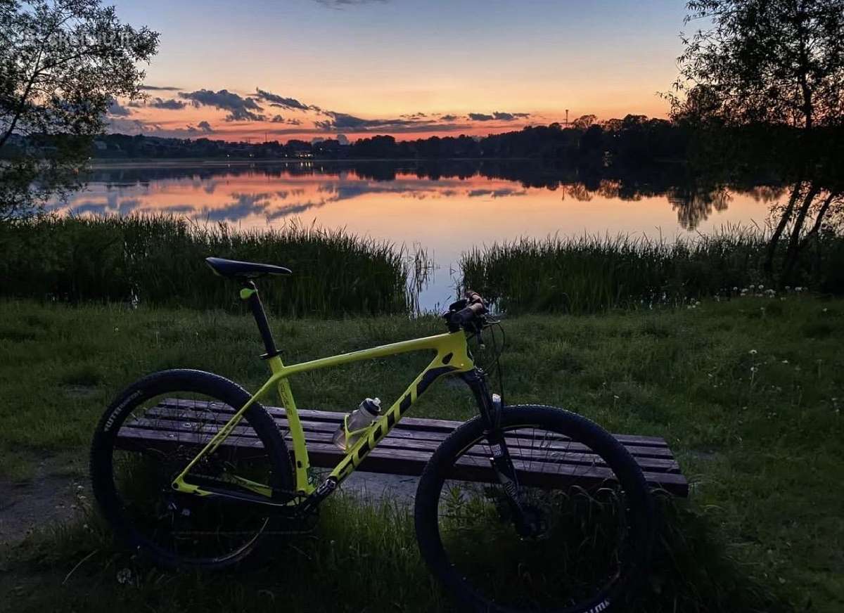 Scott scale 940 Carbon, 29er, XL - nuotraukos Nr. 2