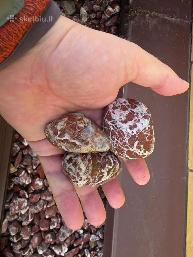 Dekoratyviniai gludinti Syria akmenukai - nuotraukos Nr. 2