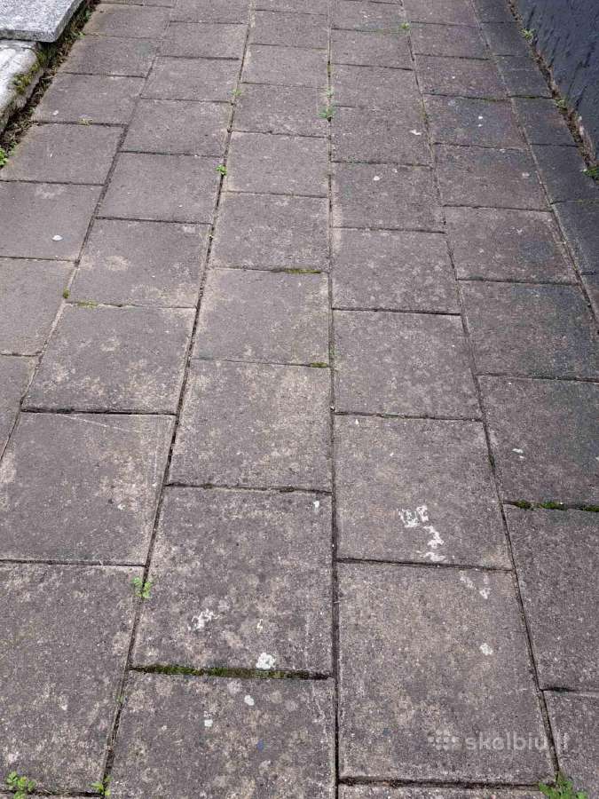 Dovanojame šaligatvio plyteles - nuotraukos Nr. 2