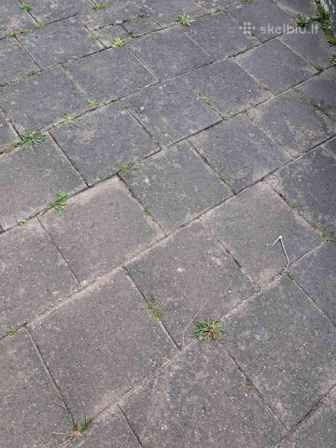 Dovanojame šaligatvio plyteles - nuotraukos Nr. 3