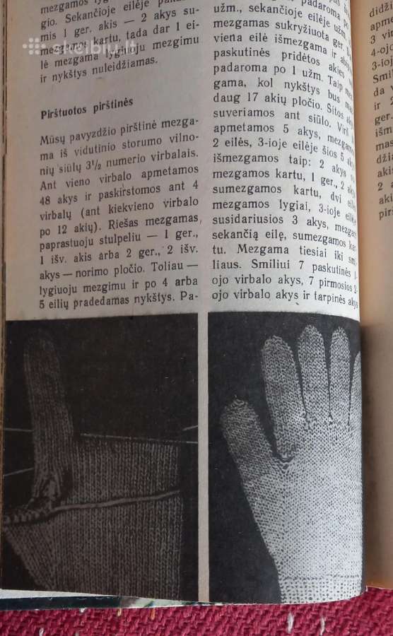 Knyga ''Mezgimas'' - nuotraukos Nr. 8