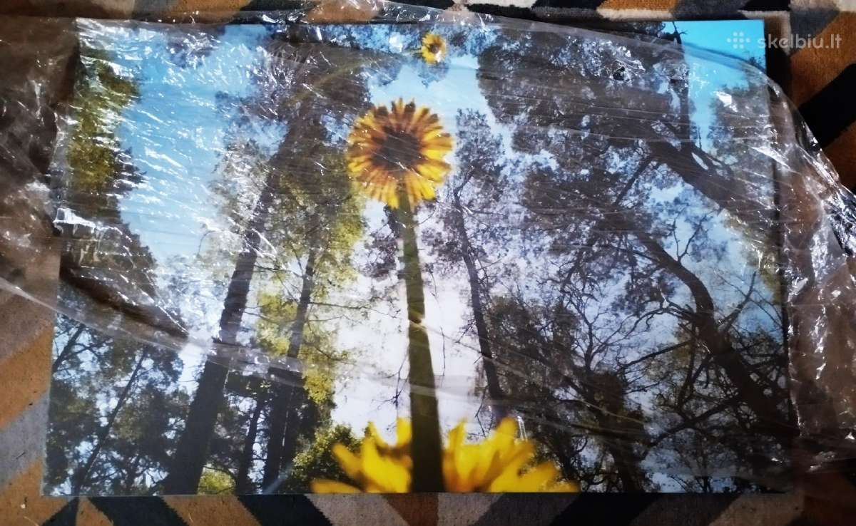 Paveikslas ant drobės „pienės“ (90x60 cm) – Ribota - nuotraukos Nr. 2