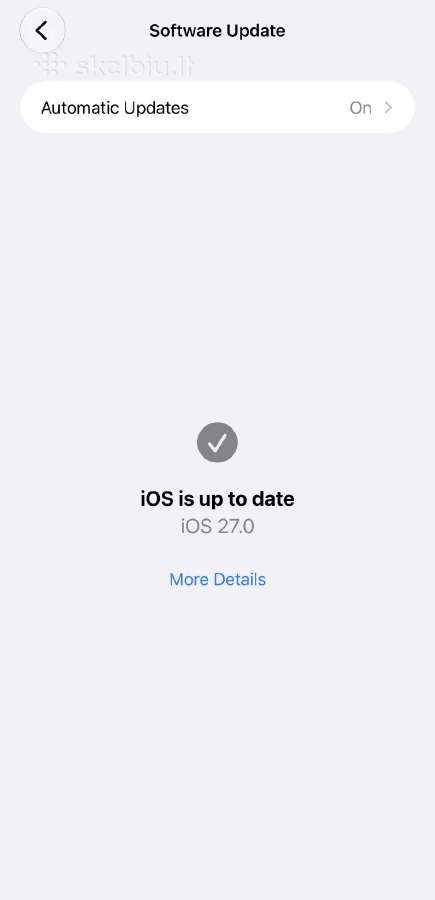 iPhone 12 Pro Max 256gb - nuotraukos Nr. 4