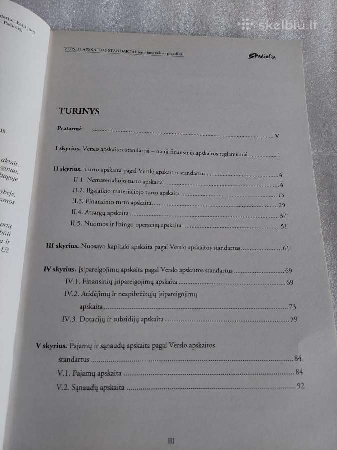Verslo apskaitos standartai - nuotraukos Nr. 3