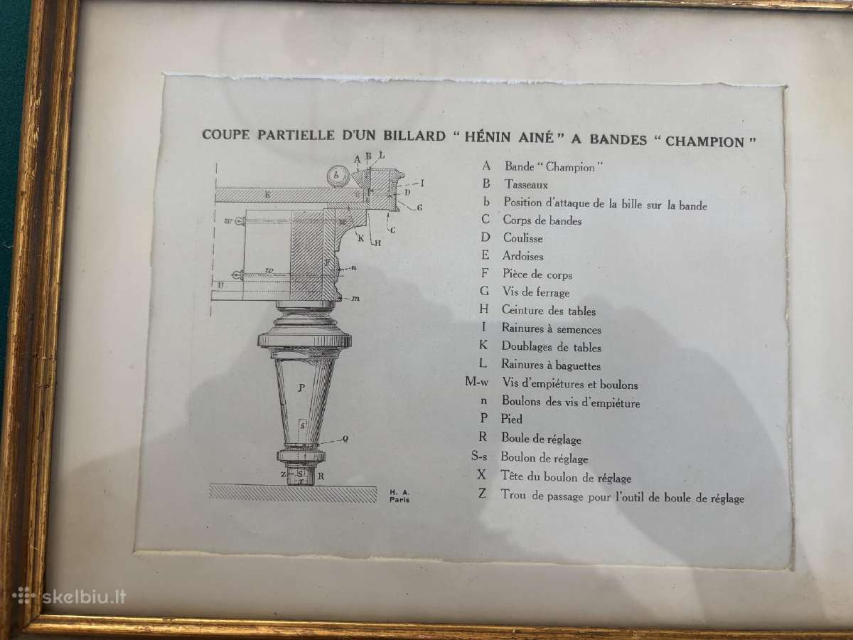 Bandes champion - nuotraukos Nr. 7