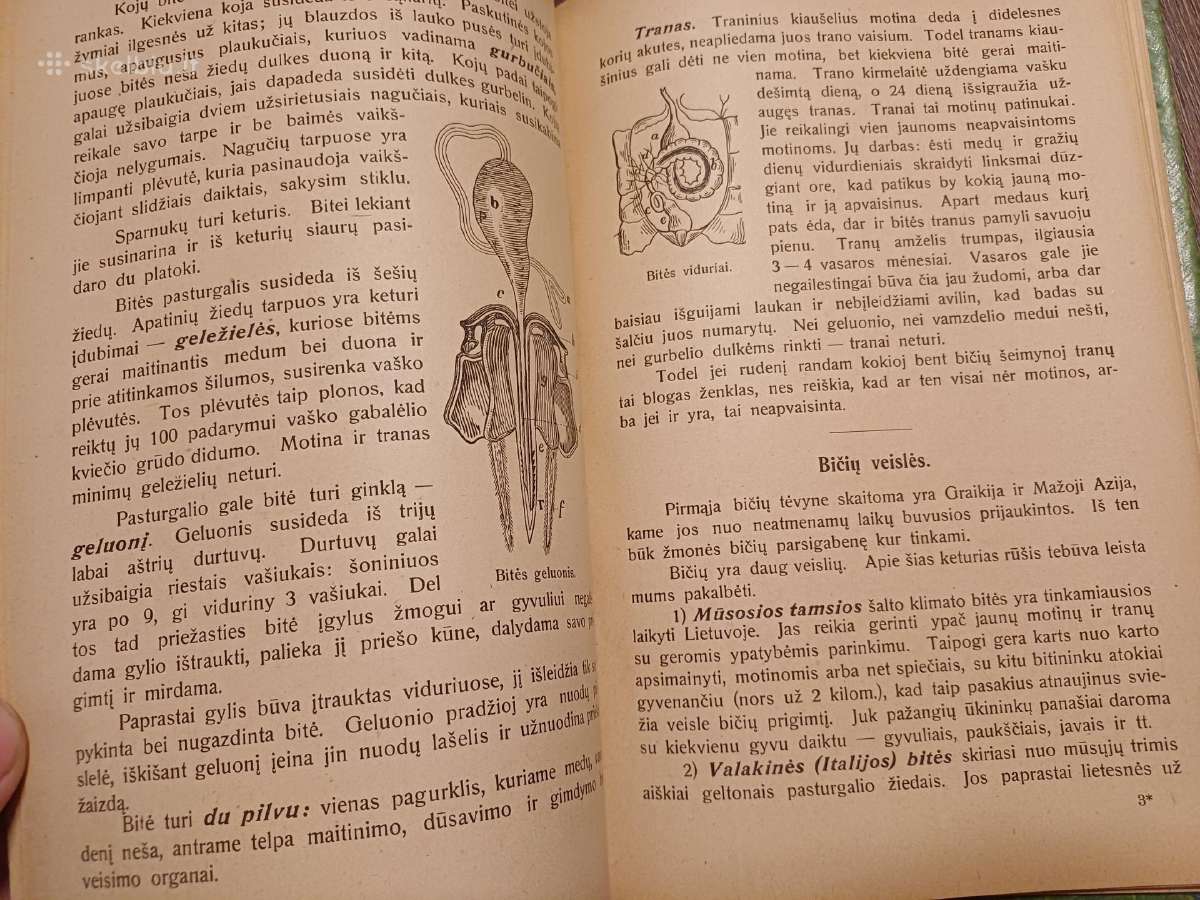 Parduodu knyga,bitininkas,1921m - nuotraukos Nr. 6