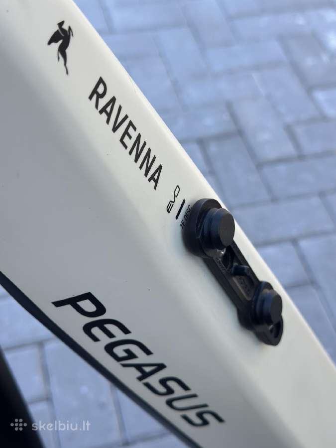 Pegasus Ravenna elektrinis dviratis - nuotraukos Nr. 12