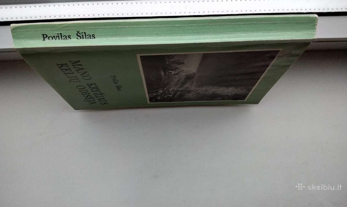 P. Šilas. Mano kryžiaus kelių odisėja - nuotraukos Nr. 11