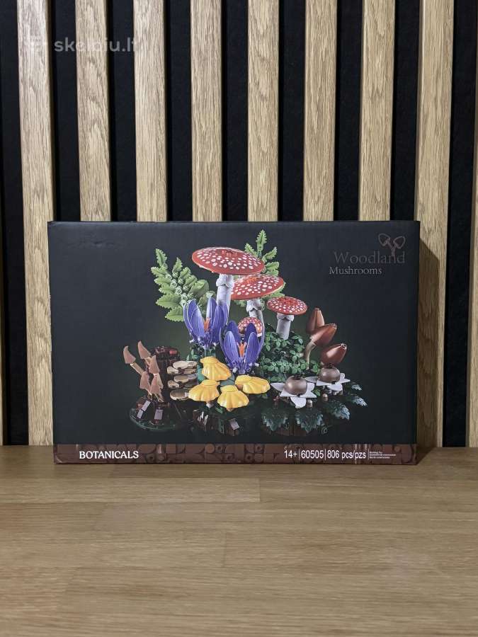 Konstruktorius - nuotraukos Nr. 15
