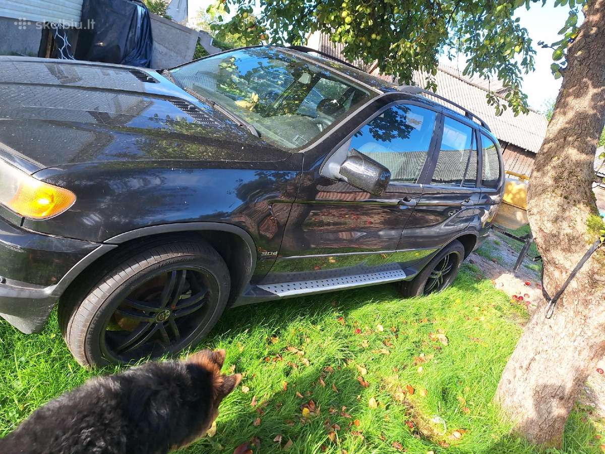 X5 3.0 135kw E53 - nuotraukos Nr. 2