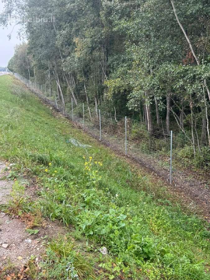 Tinklinės vielinės tvoros montavimas ir įrengimas - nuotraukos Nr. 2