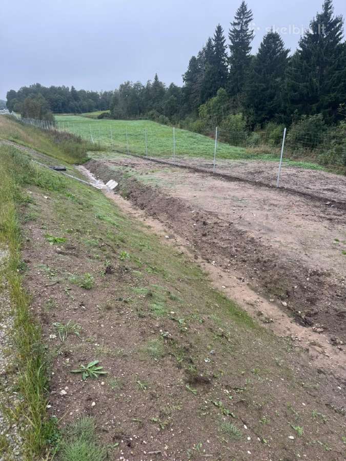 Tinklinės vielinės tvoros montavimas ir įrengimas - nuotraukos Nr. 6