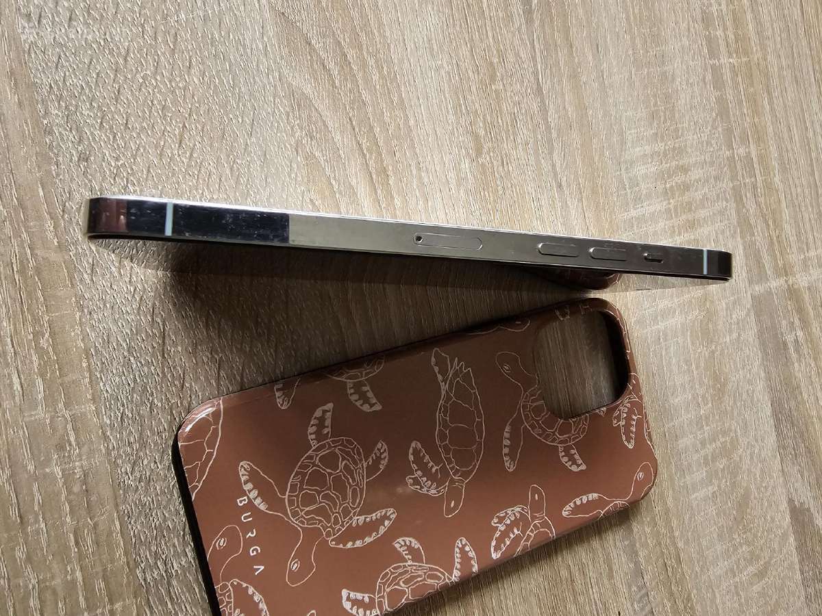iPhone 12 Pro Max (128 GB) - nuotraukos Nr. 5