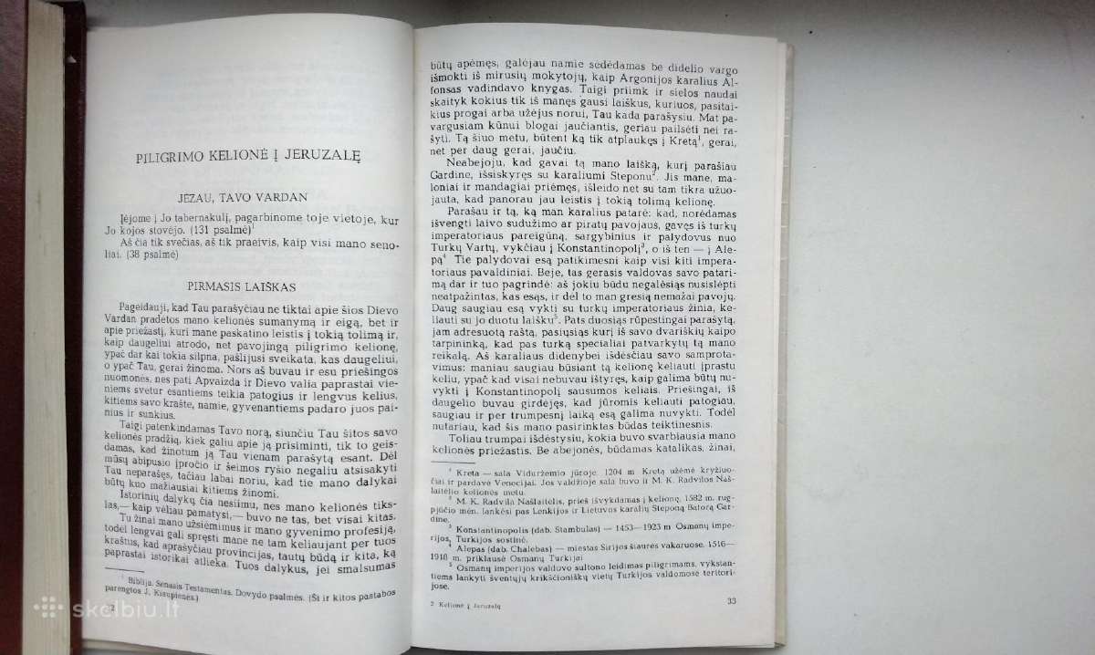 Radvila Našlaitėlis. Kelionė į Jeruzalę - nuotraukos Nr. 6