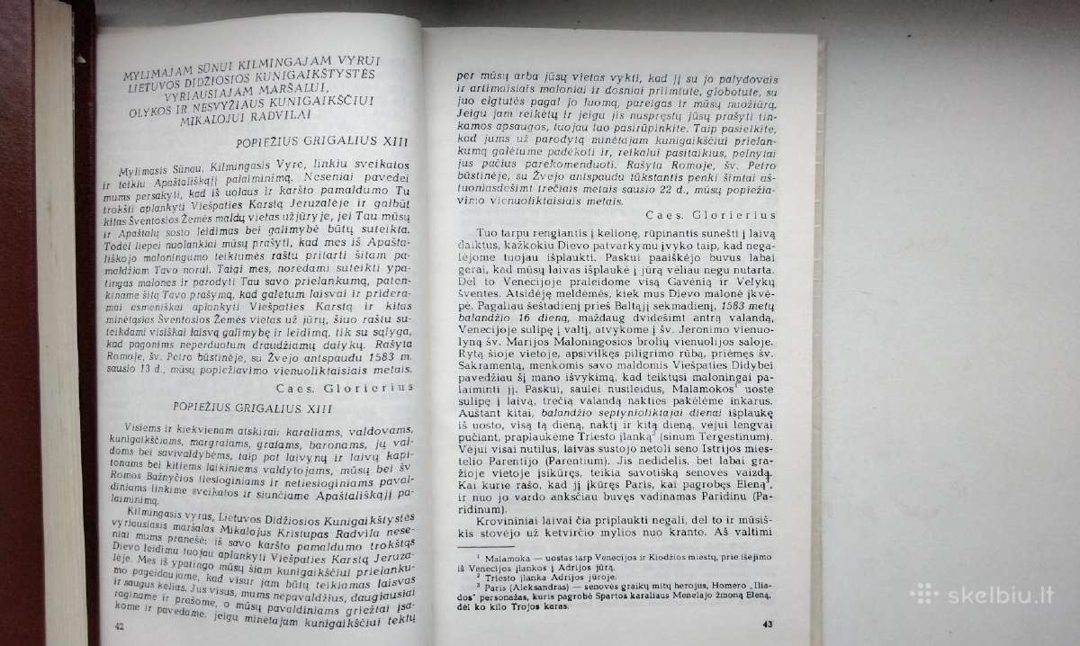 Radvila Našlaitėlis. Kelionė į Jeruzalę - nuotraukos Nr. 8