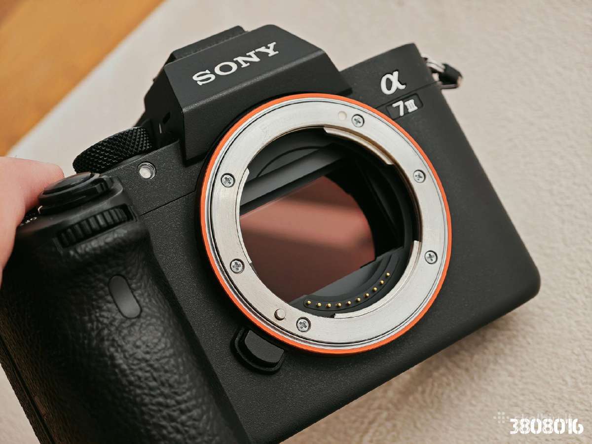 A7III - nuotraukos Nr. 8