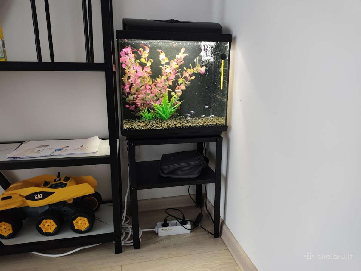 35 l akvariumas - nuotraukos Nr. 3