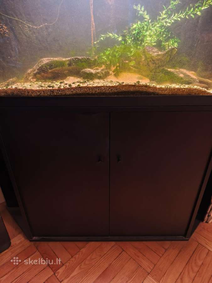 Atiduodu akvariuma su spinte - nuotraukos Nr. 2
